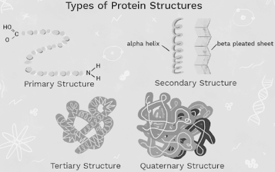 Cloud application: Protein structure prediction – EasyExamNotes